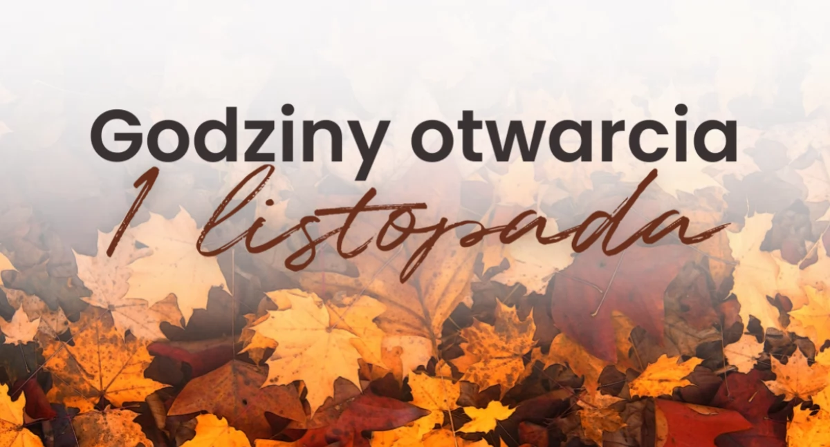 Toruń Plaza, Godziny otwarcia Toruń Plaza listopada - zdjęcie, fotografia