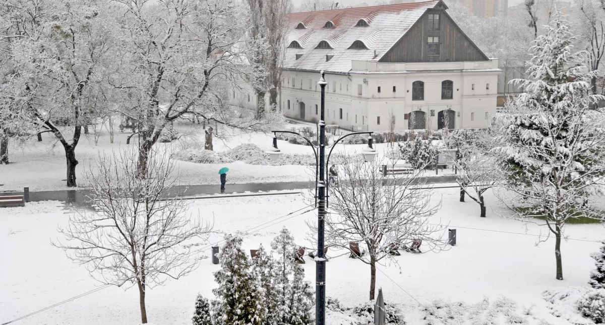 Fot. Małgorzata Litwin / UM Toruń