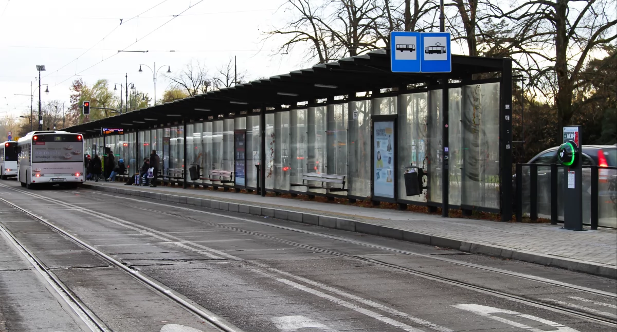 Fot. UM Toruń