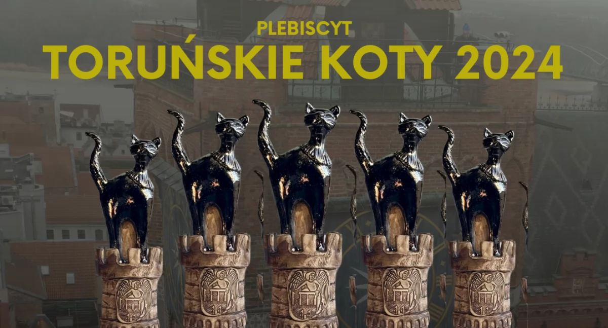 Miasto, zwycięzcy plebiscytu TORUŃSKIE - zdjęcie, fotografia