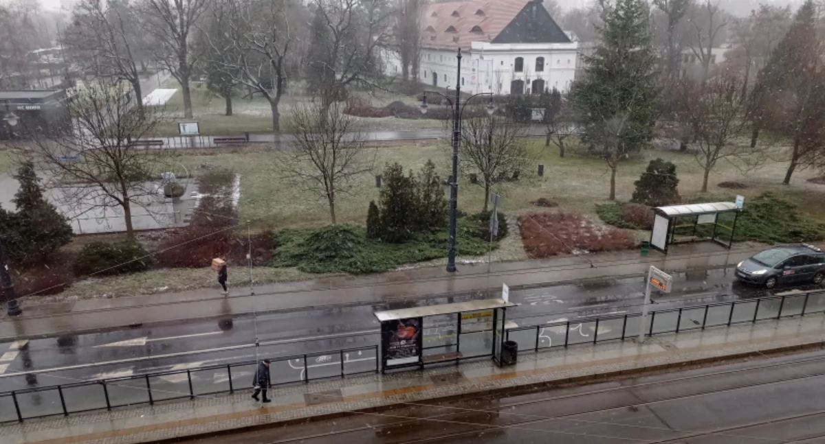 Fot. UMT, autor Marcin Pryka