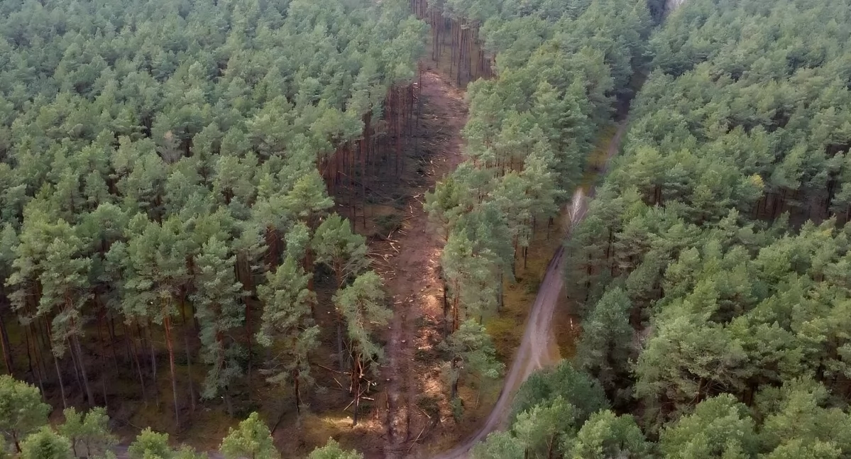 Przygotowanie terenu pod budowę łącznika z drogą krajową nr 91 w Toruniu, fot. Bartosz Fryckowski / ototorun.pl