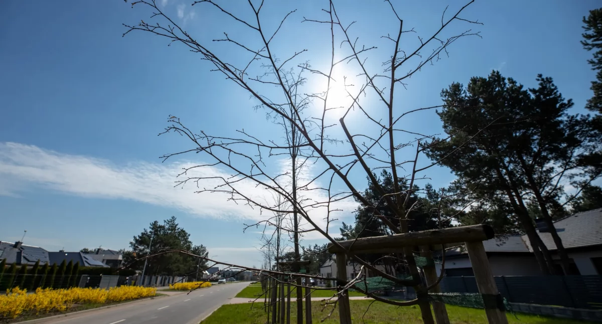 Fot. UMT, autor: Agnieszka Bielecka