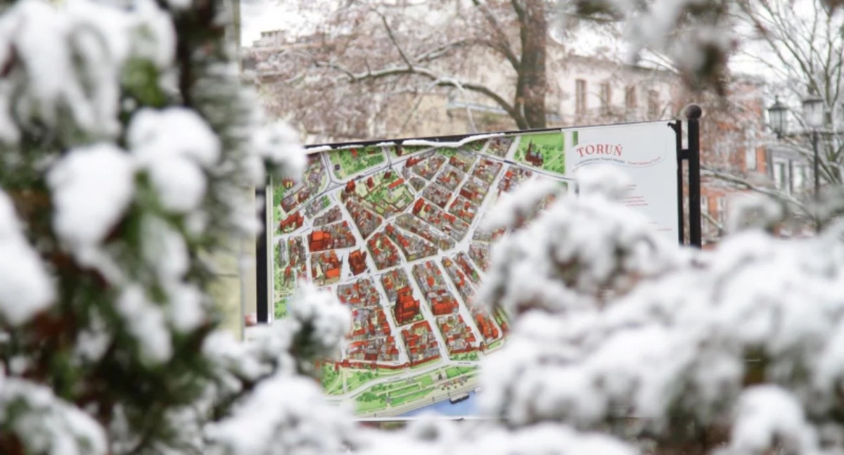 Fot. UM Toruń, autor: Paula Gałązka