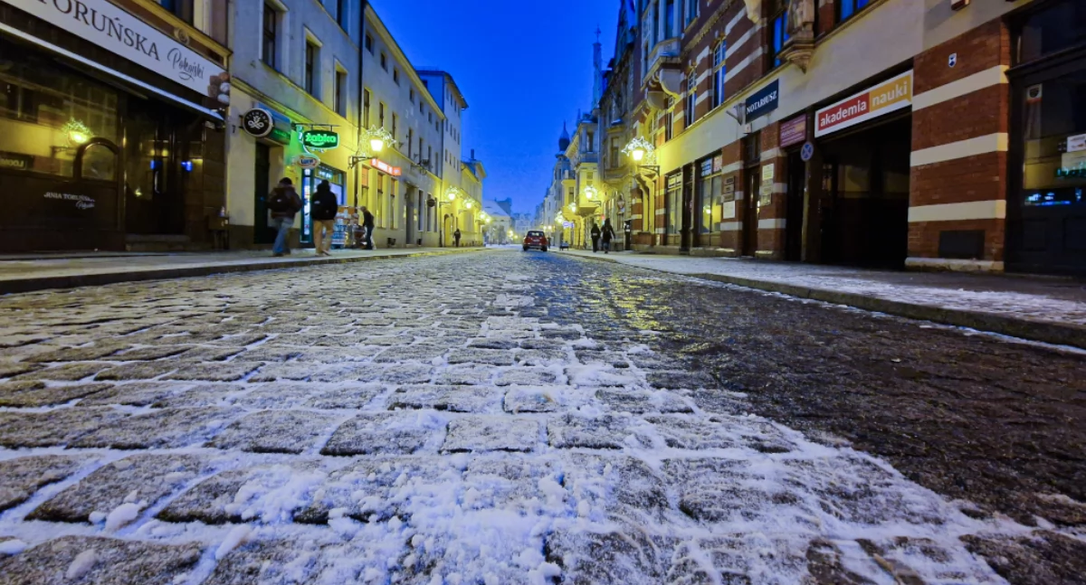 Fot. UM Toruń