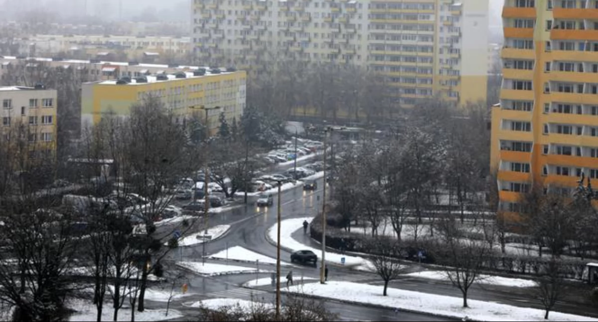 Fot. UM Toruń