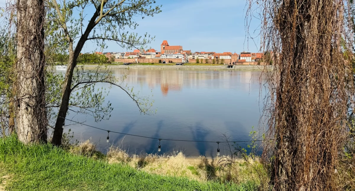 Fot. UMT 2025, autor: Filip Tomasik, licencja: CC BY-NC 4.0