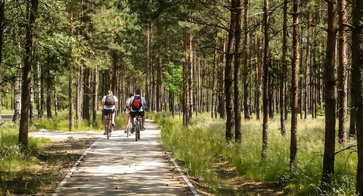 Ścieżka rowerowa pod Toruniem, fot. Starostwo Powiatowe w Toruniu