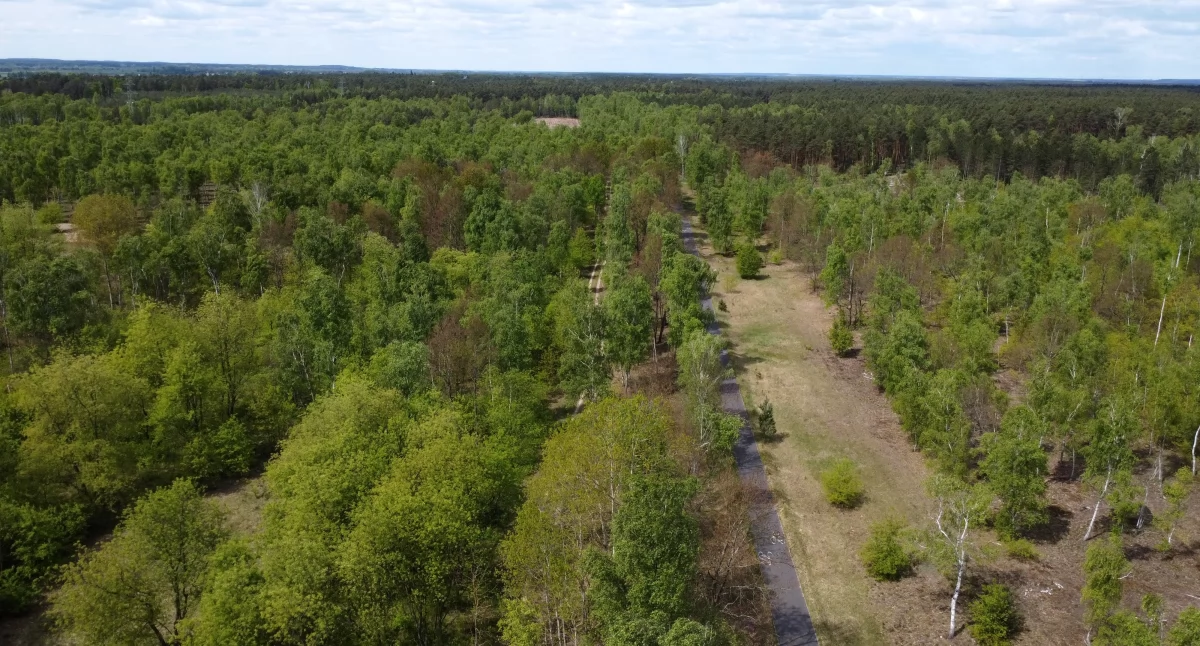 Tu powstanie IV etap Trasy Średnicowej, fot. Bartosz Fryckowski / ototorun.pl