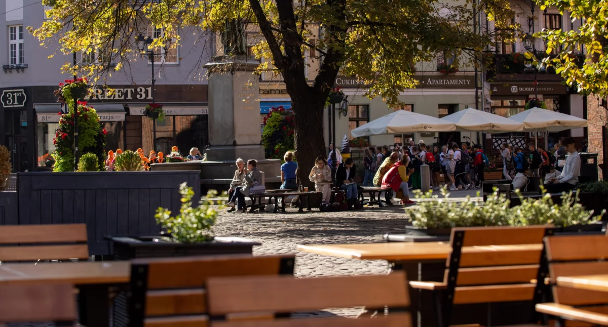 Fot. UMT 2025, autor: Agnieszka Bielecka, licencja: CC BY-NC 4.0