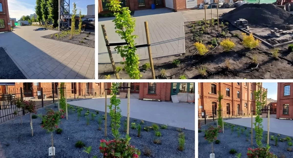 Powstaje zielone wejście do Centrum Bumar w Toruniu, fot. ototorun.pl