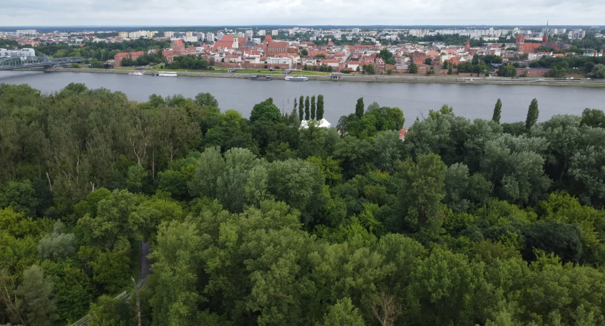 Kępa Bazarowa, fot. Bartosz Fryckowski / ototorun.pl