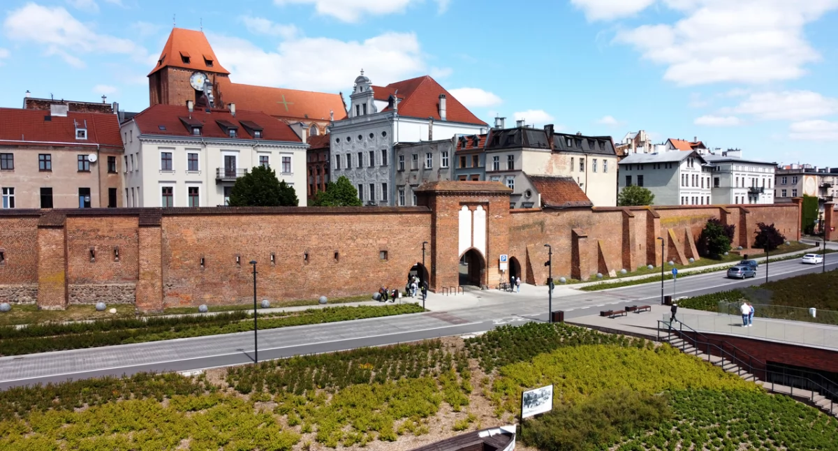 Fot. UMT 2025, autor: Sławomir Kowalski, licencja: CC BY-NC 4.0