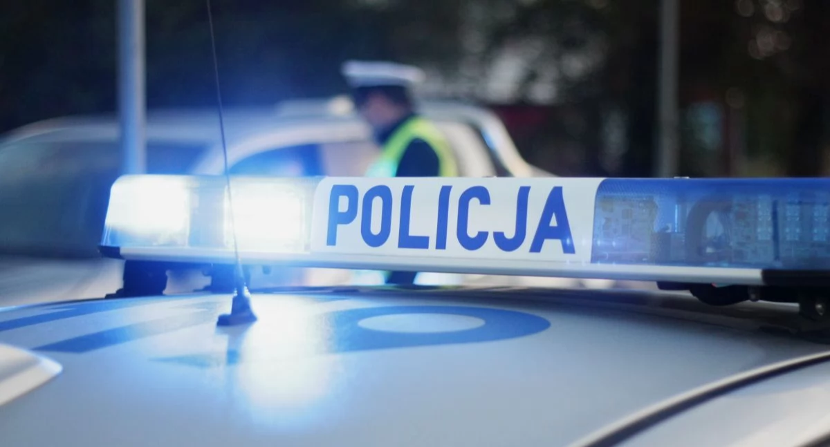 Obocokrajowiec zaatakował kobietę w parku w Toruniu. Ofiara jest w stanie krytycznym