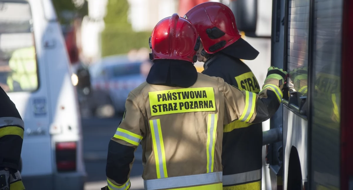 Kłęby dymu nad Toruniem. Siedem zastępów strażaków ratowało dobytek
