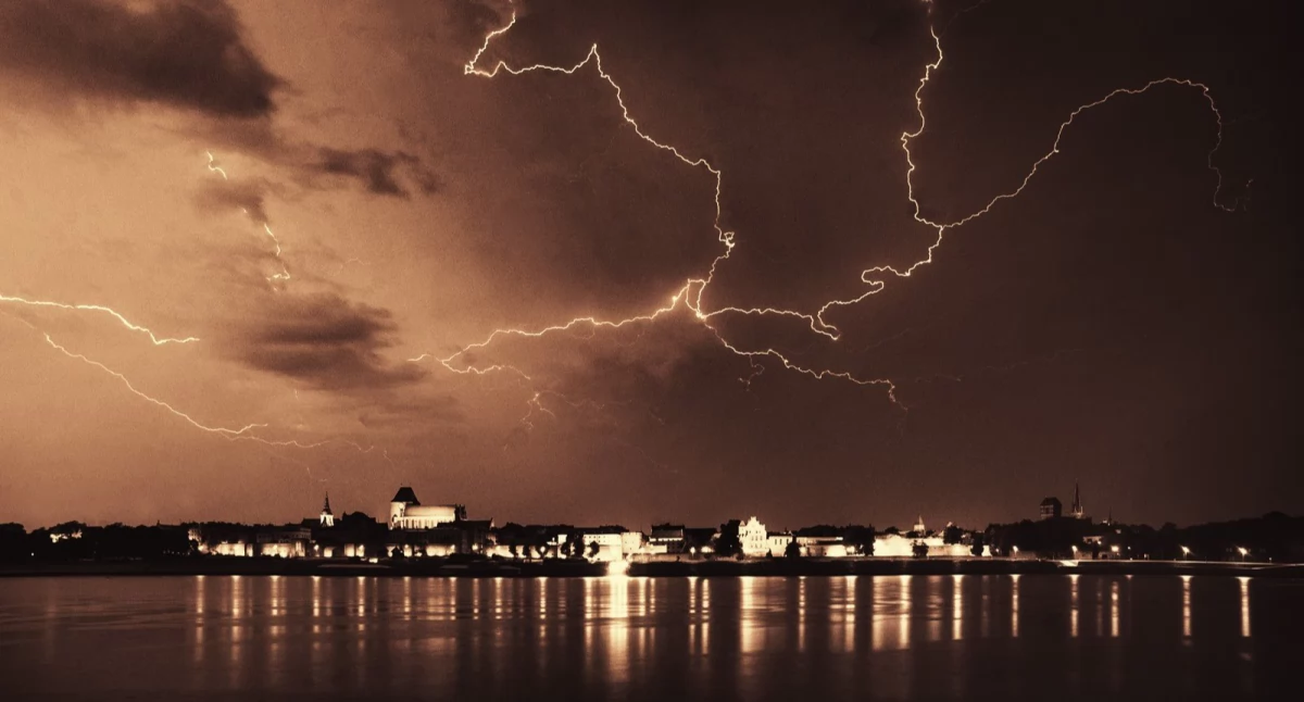Fot. UM Toruń