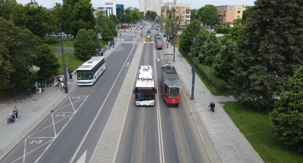 Fot. Bartosz Fryckowski / ototorun.pl 