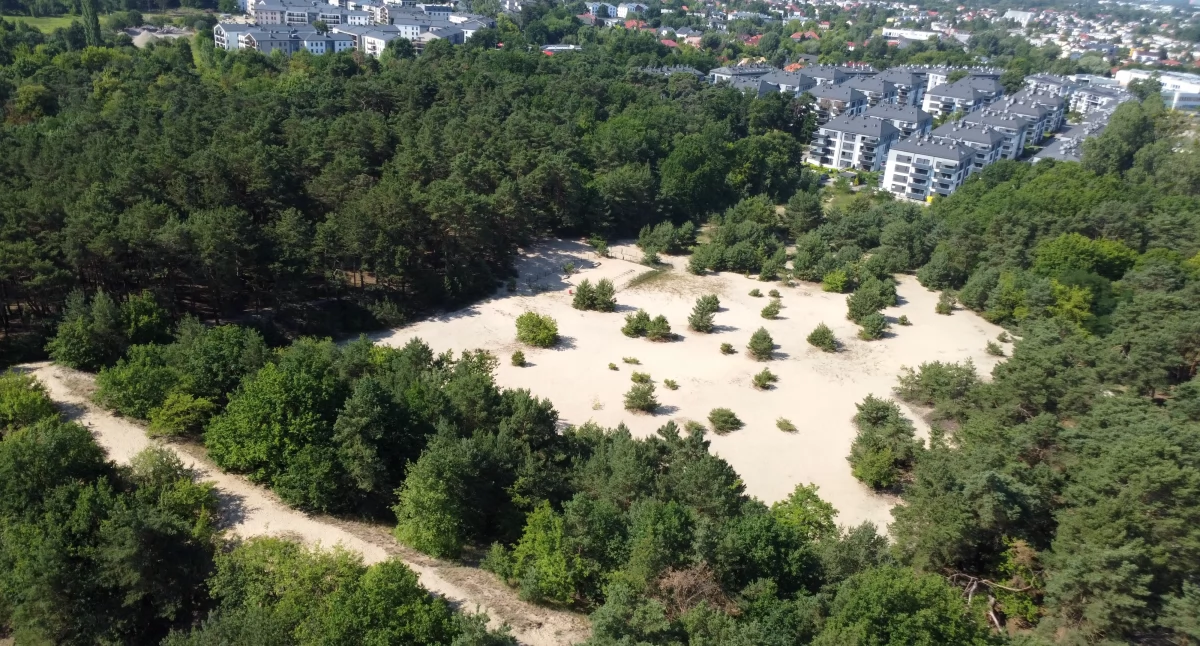 Park Podworski oraz Wydma Rudacka, fot. Bartosz Fryckowski