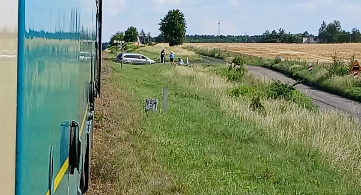 Zdjęcia w galerii: Nadesłane