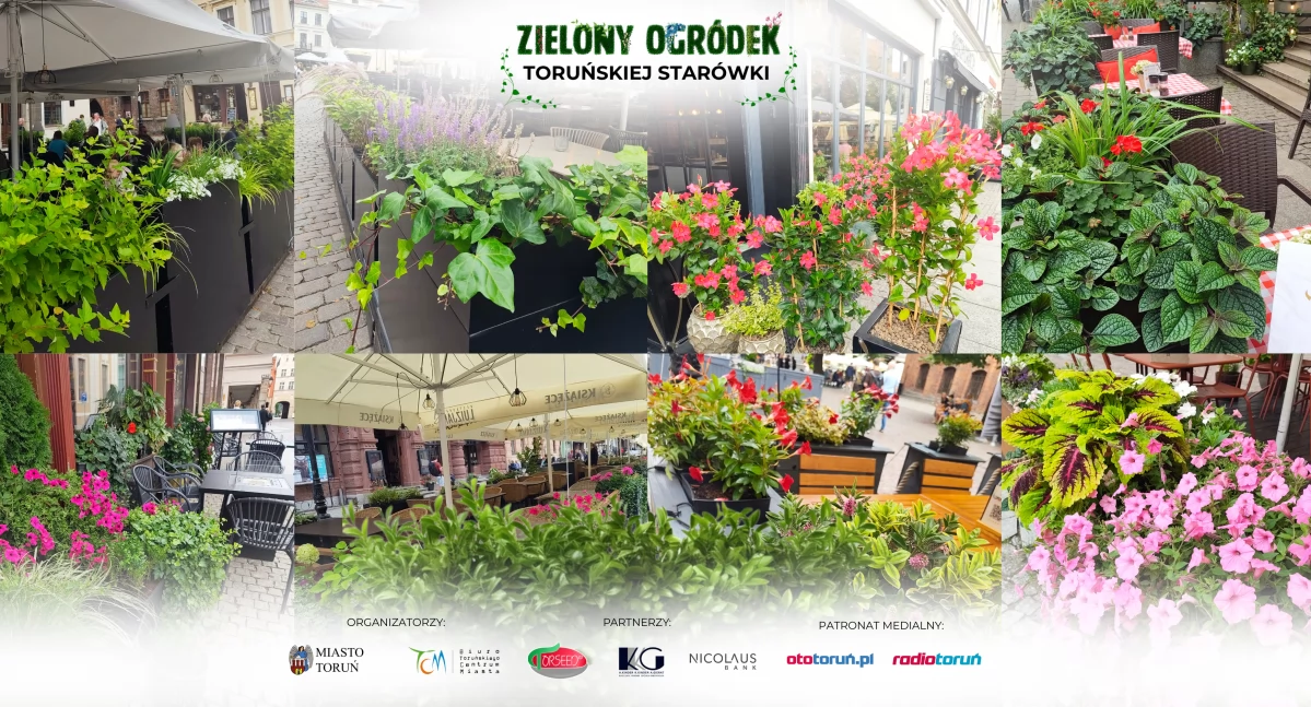 Miasto, Finałowe głosowanie Zielony Ogródek Toruńskiej Starówki - zdjęcie, fotografia