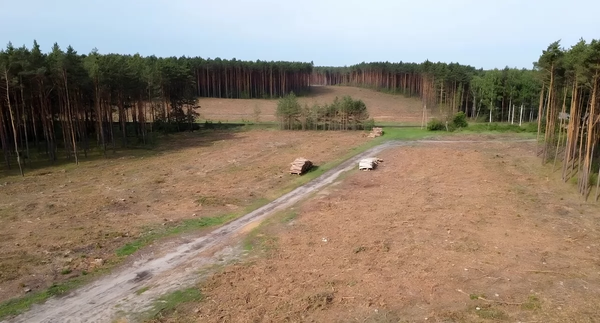 Tu powstanie łącznik, który ułatwi dojazd do autostrady A1 