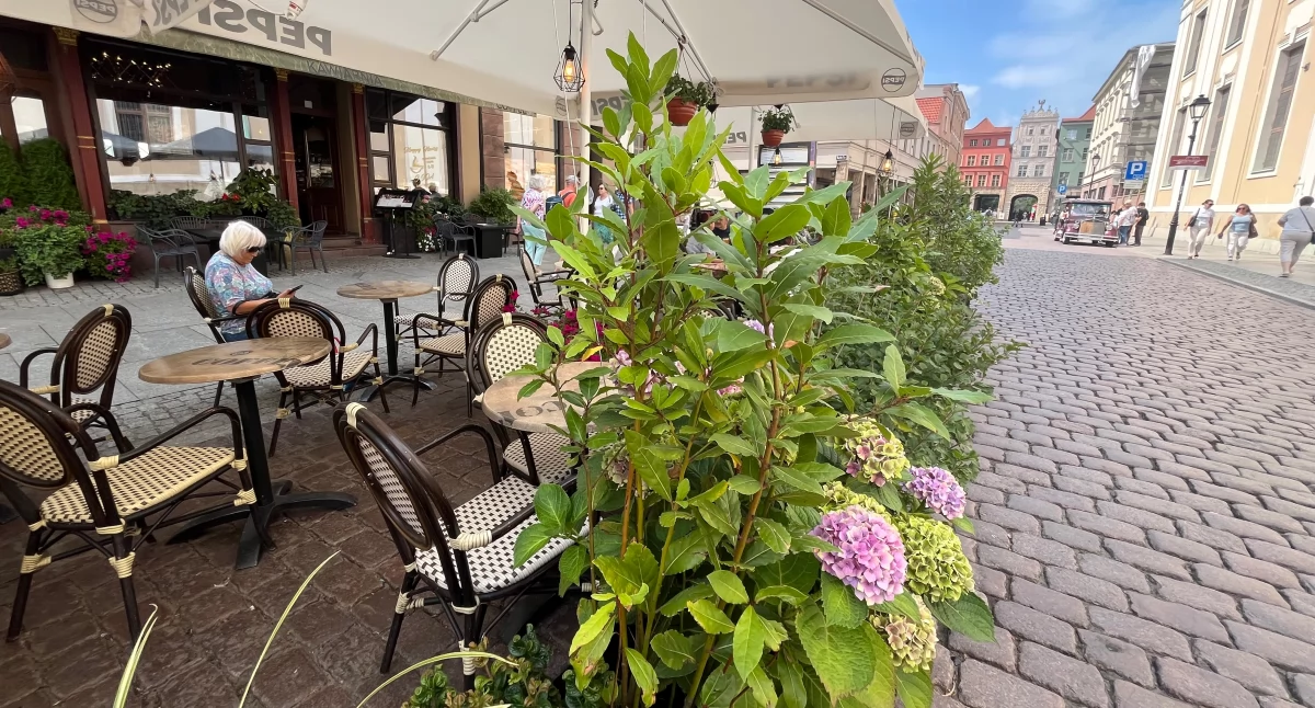 Ogródek Grande Coffee, fot. Bartosz Fryckowski / ototorun.pl