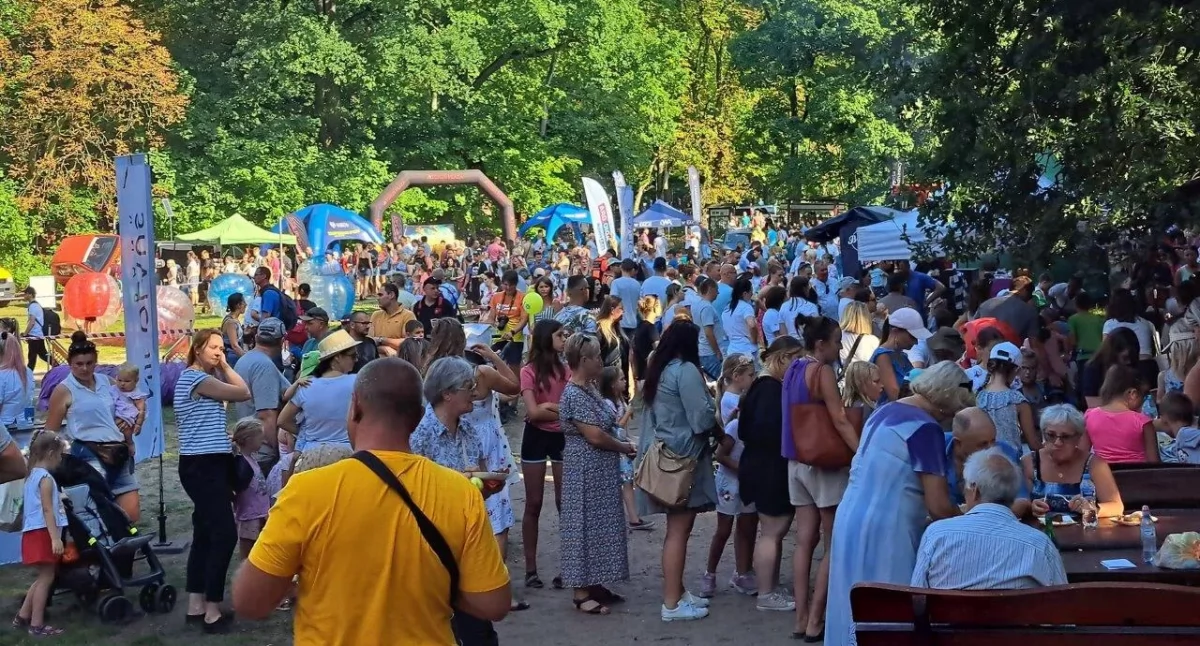 Fot. UM Toruń