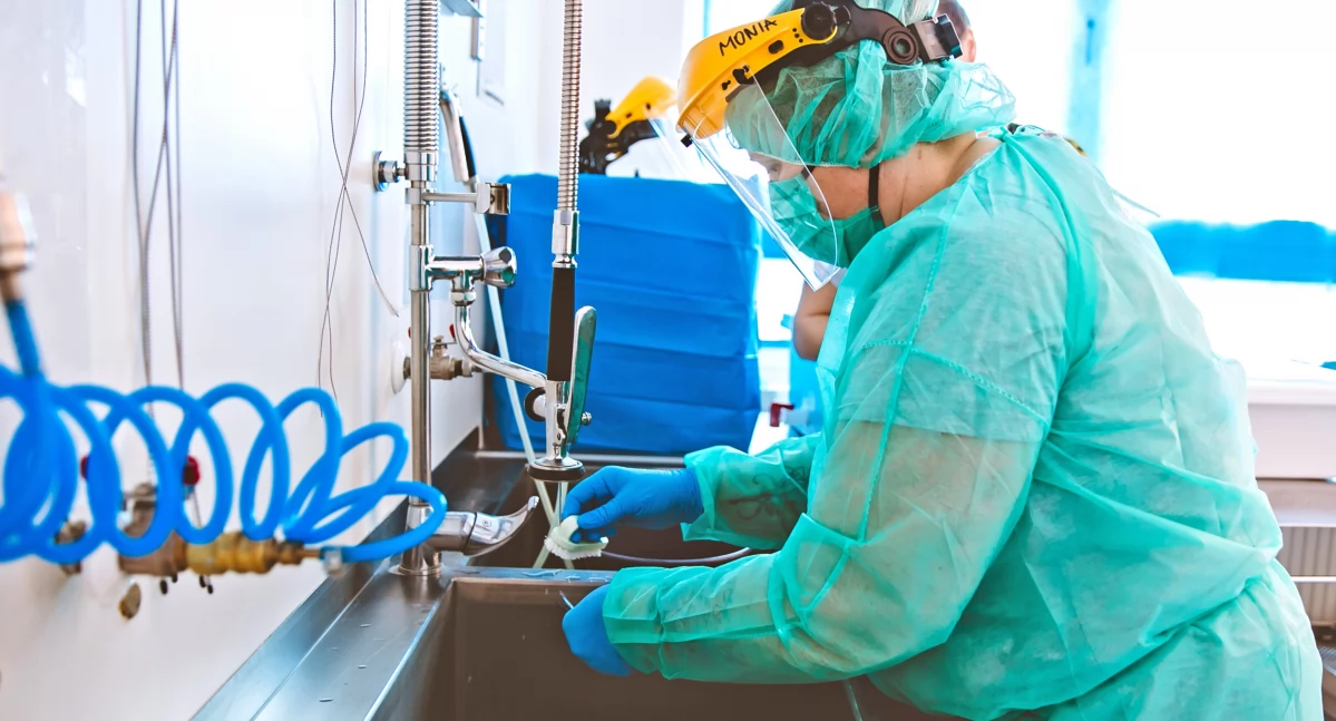 Fot. facebook.com/ECKPascal