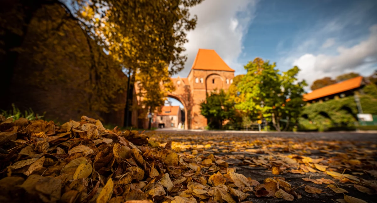 Fot. UMT 2025, autor: Agnieszka Bielecka, licencja: CC BY-NC 4.0