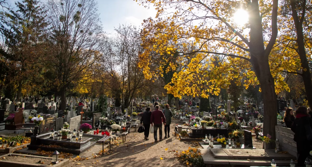 Fot. Agnieszka Bielecka / UM Toruń