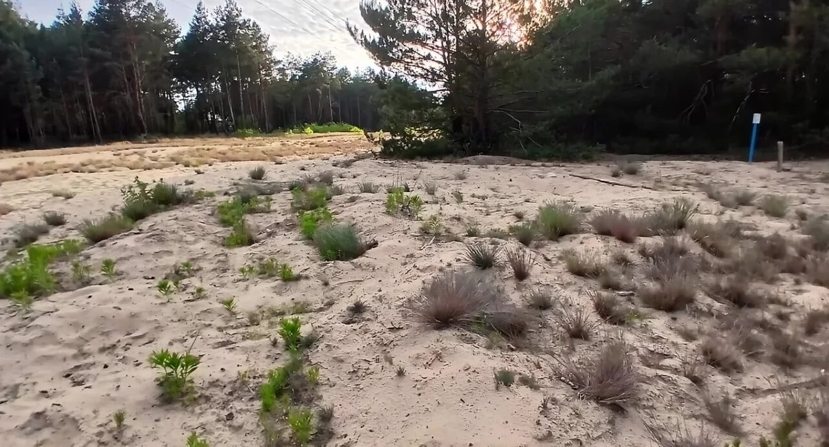 Ulica Keplera w Toruniu i tereny pod zabudowę jednorodzinną na Jarze, fot. ototorun.pl oraz CWB