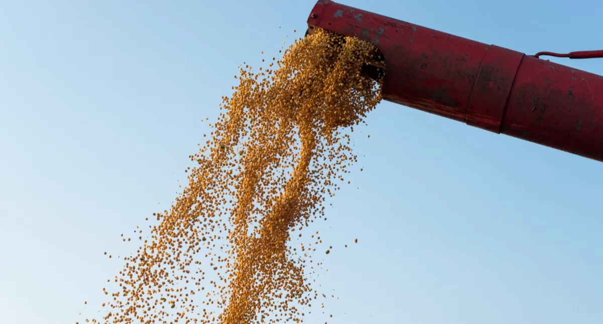 Automatyzacja w gospodarstwach i zakładach przetwórczych - kiedy warto postawić na podajnik ślimakowy?