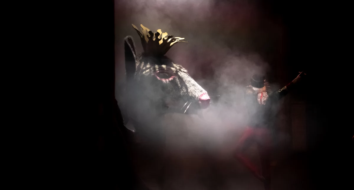 Fot. Tomasz Sadowski