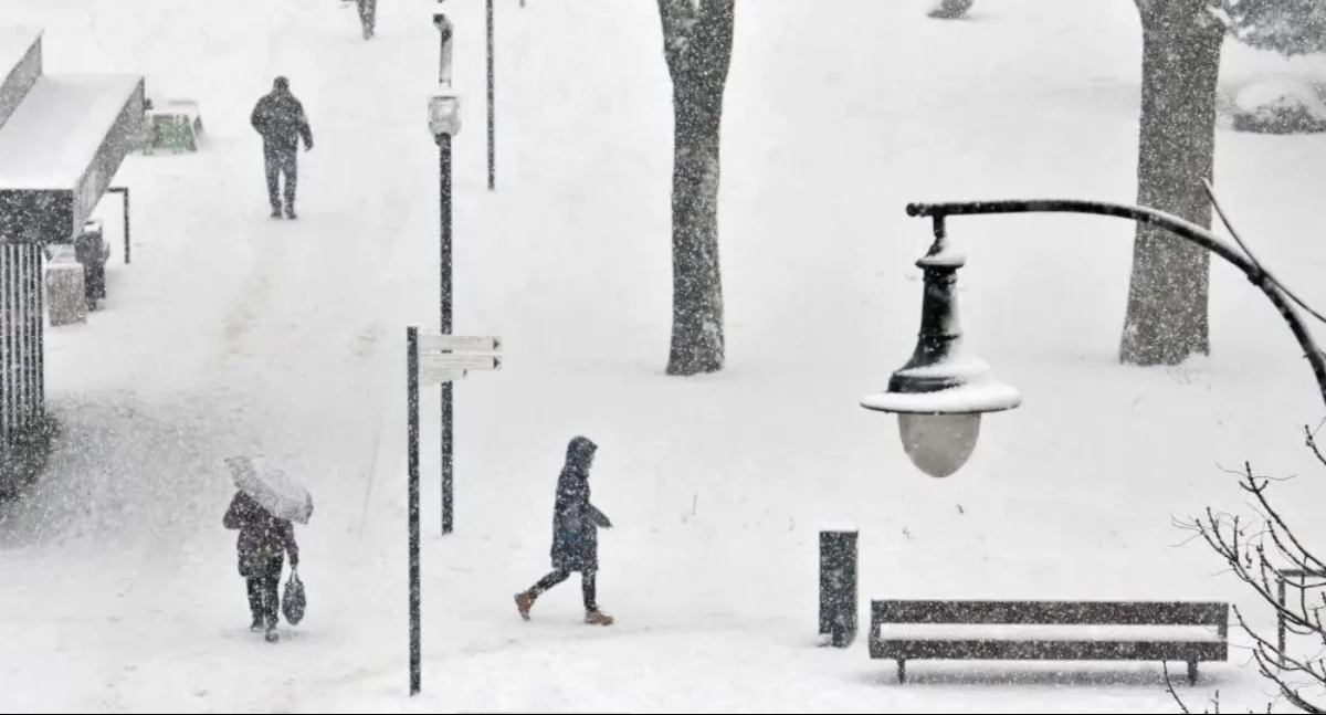 Fot. Małgorzata Litwin / UM Toruń