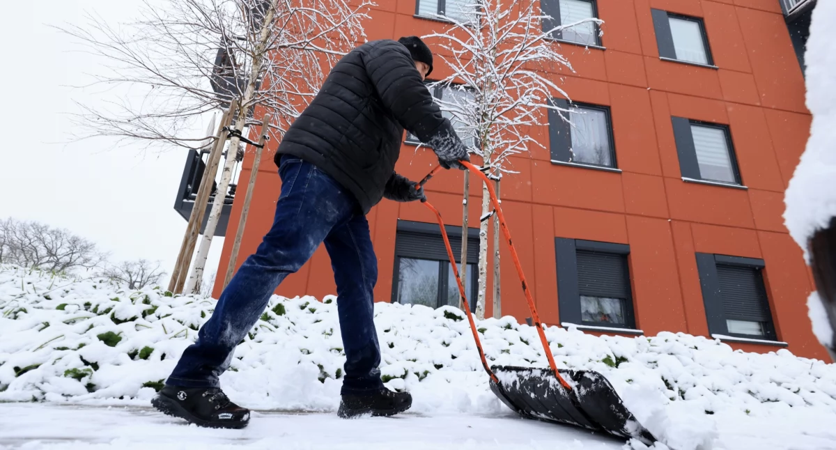 Fot. © UMT 2025, licencja: CC BY-NC 4.0