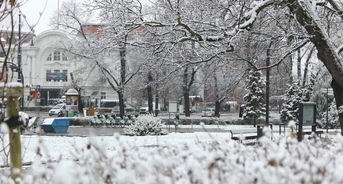 Fot. Adam Zakrzewski / UM Toruń