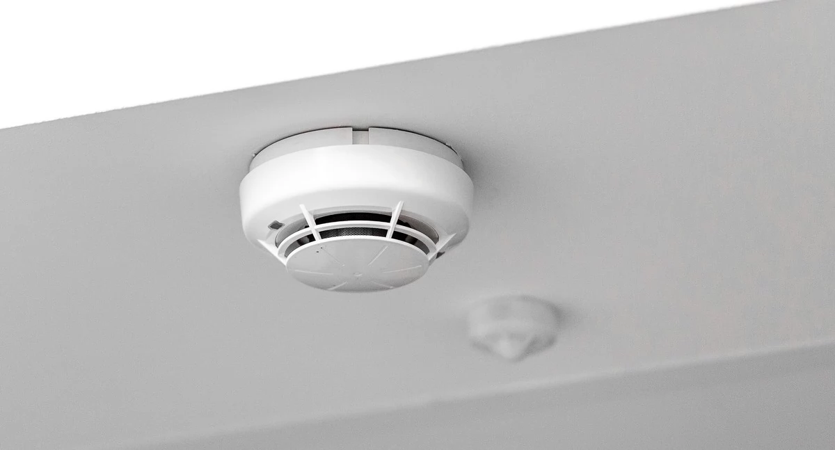 Fot. Szymon Zdziebło / tarantoga.pl dla UMWKP