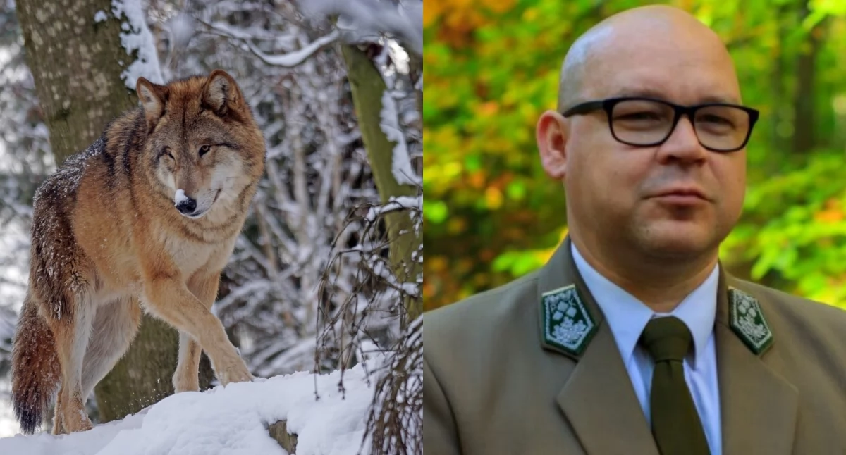 Fot. wilk / pixabay.com, Daniel Siewiert dyrektor Wdeckiego Parku Krajobrazowego - wpk.rbip.mojregion.info