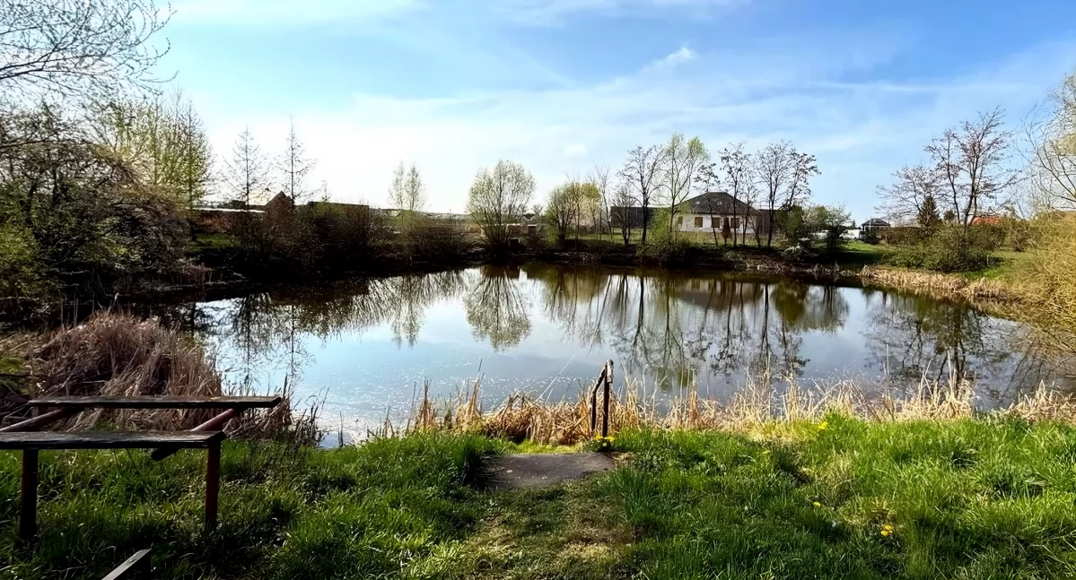 Staw w Obrowie pod Toruniem, fot. UG Obrowo