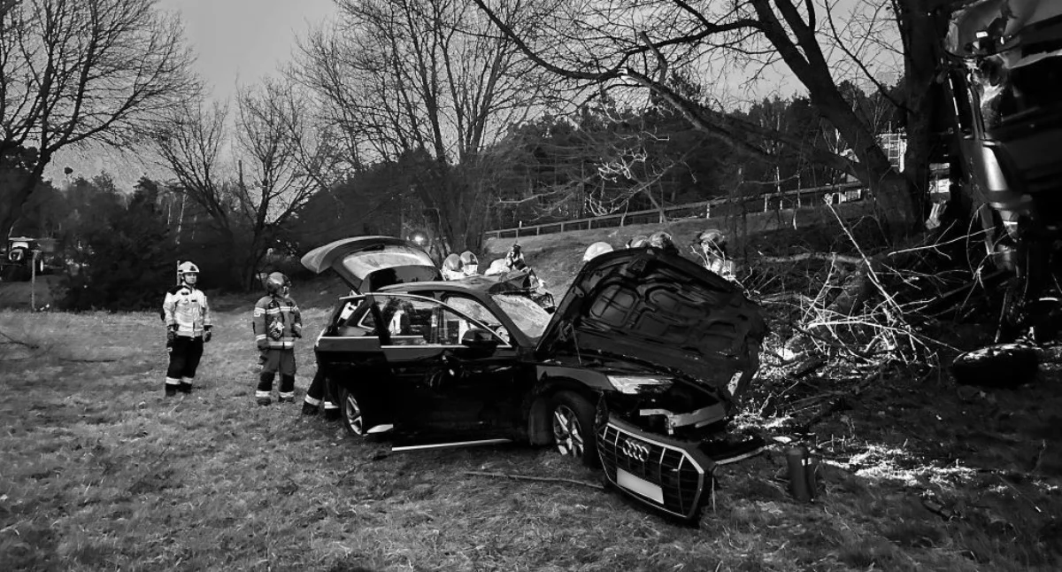 Śmiertleny wypadek na trasie Toruń - Bydgoszcz, fot. KMP w Toruniu oraz OSP w Solcu Kujawskim