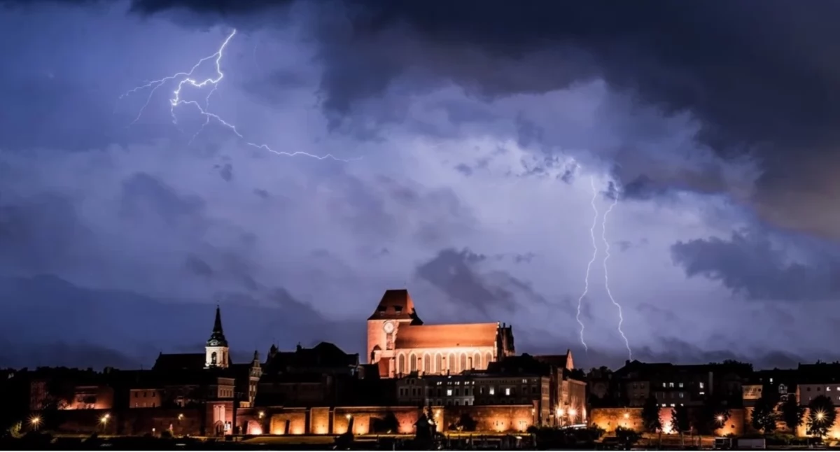Fot. UM Toruń