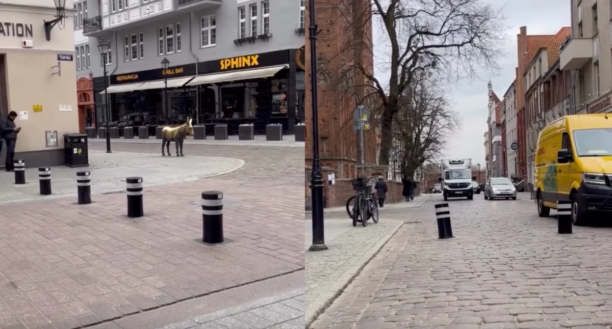 Słupki na Starówce w Toruniu, fot. ototorun.pl