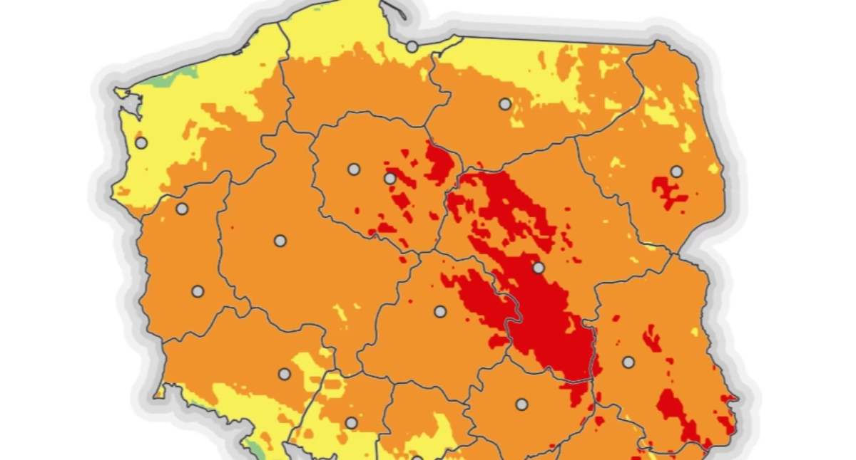 Fot. Regionalna Dyrekcja Lasów Państwowych w Toruniu