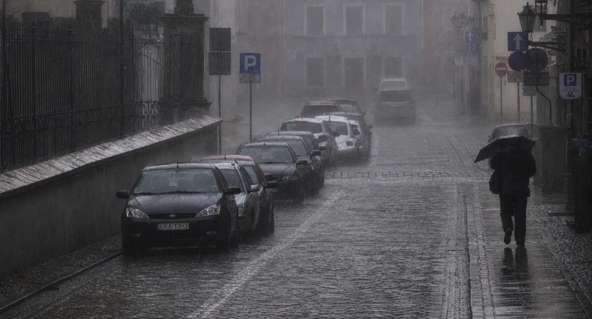 Fot. UM Toruń