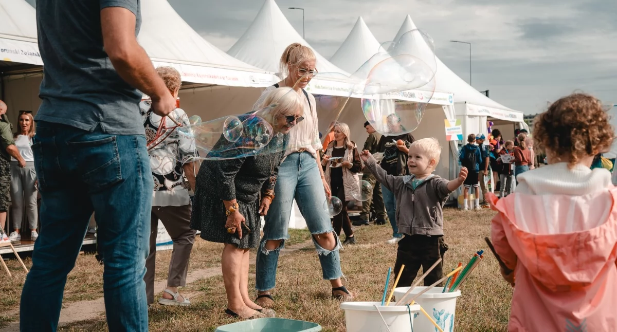 Wydarzenie, wielkim placu Toruniu odbędzie rodzinny piknik Wstęp bezpłatny - zdjęcie, fotografia