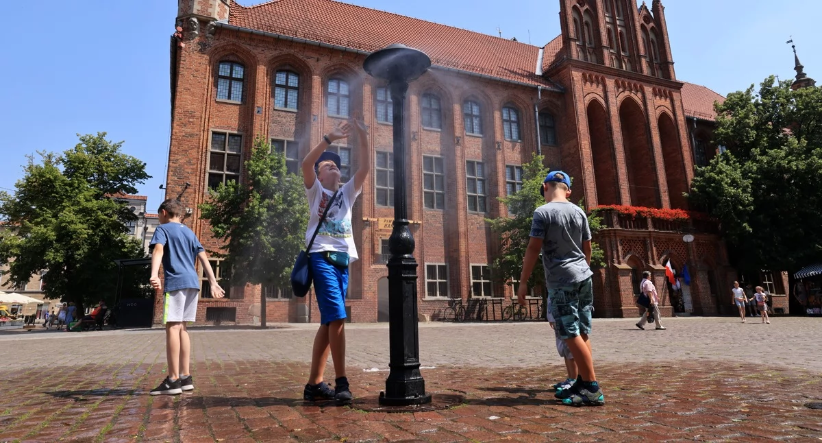 Fot. UM Toruń