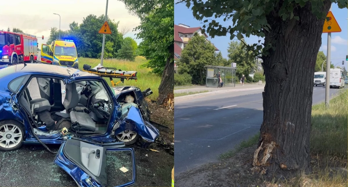 Fot. ototorun.pl