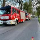 Fotka nr 2 z 4