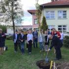 zdjęcie nr 13