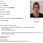 Fotka nr 0 z 7